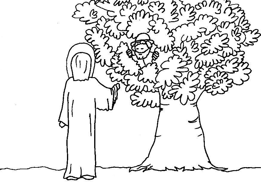 873x612 Coloring Pages Zaccheus Zacchaeus Coloring Pages Vbs