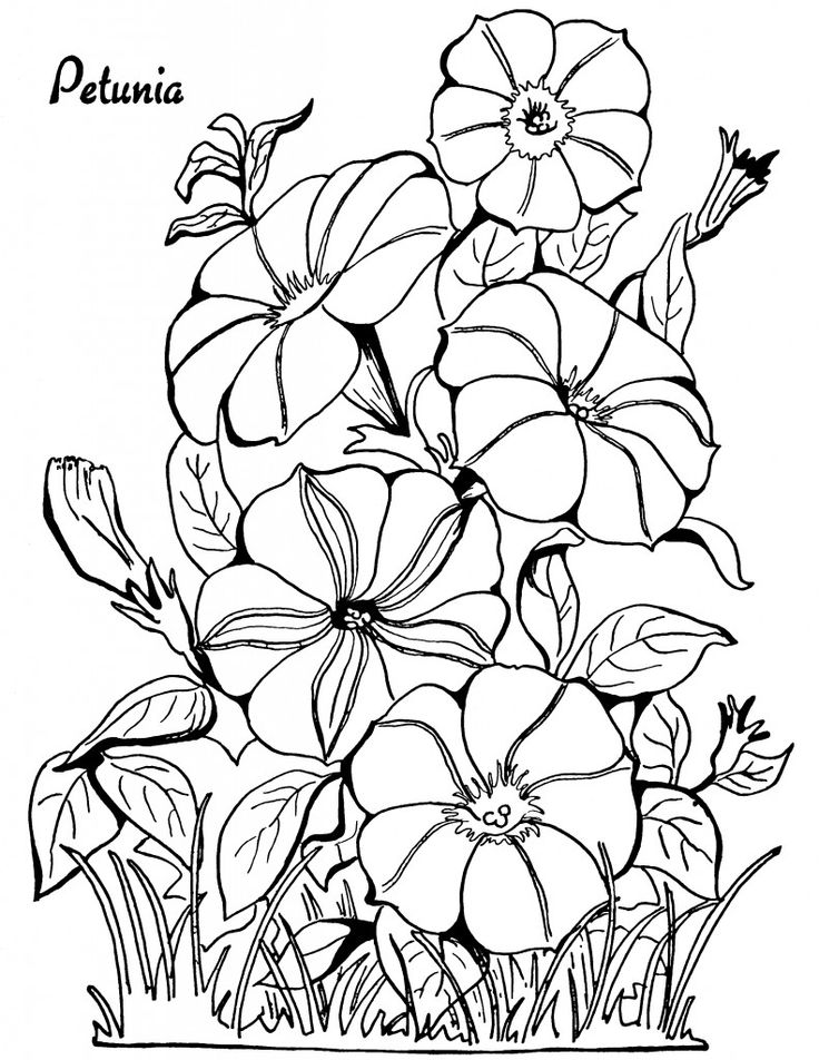 736x952 Printable Mandala Coloring Pages