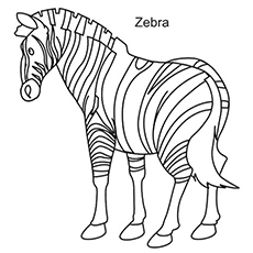 230x230 Top Free Printable Zebra Coloring Pages Online