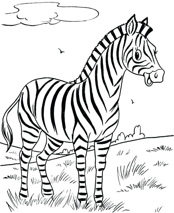 600x734 Zebra Color Page Drawn Zebra Colouring Baby Zebra Coloring