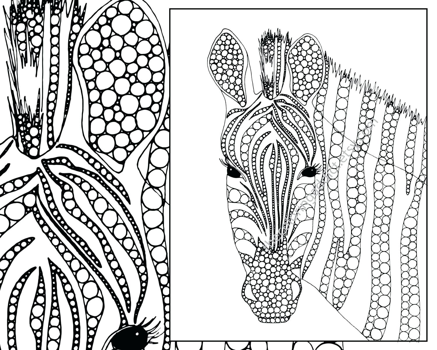 1500x1203 Coloring Pages Zebra Coloring Page Zoom Cute Baby Pages Zebra