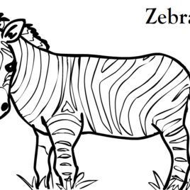 268x268 Free Printable Zebra Coloring Pages For Kids Coloring Pages
