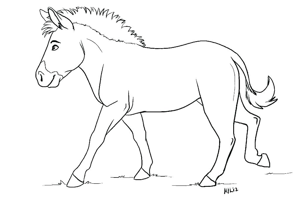 1024x692 Zebra Printable Invitations Kids Coloring Coloring Pages For Kids