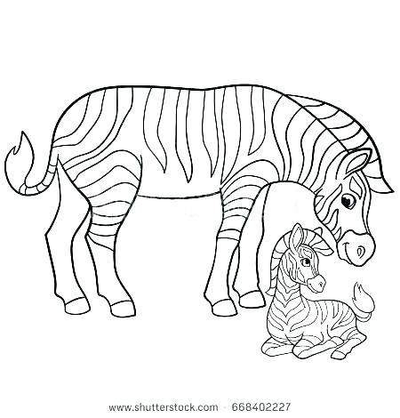 450x470 Zebra Coloring Pages