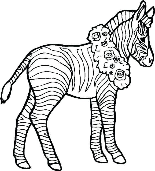 662x727 Free Printable Zebra Coloring Sheets Kids Coloring Zebra Coloring