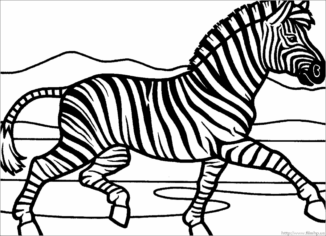 1058x768 Zebra Coloring Pages Free Printable Free Coloring For Kids
