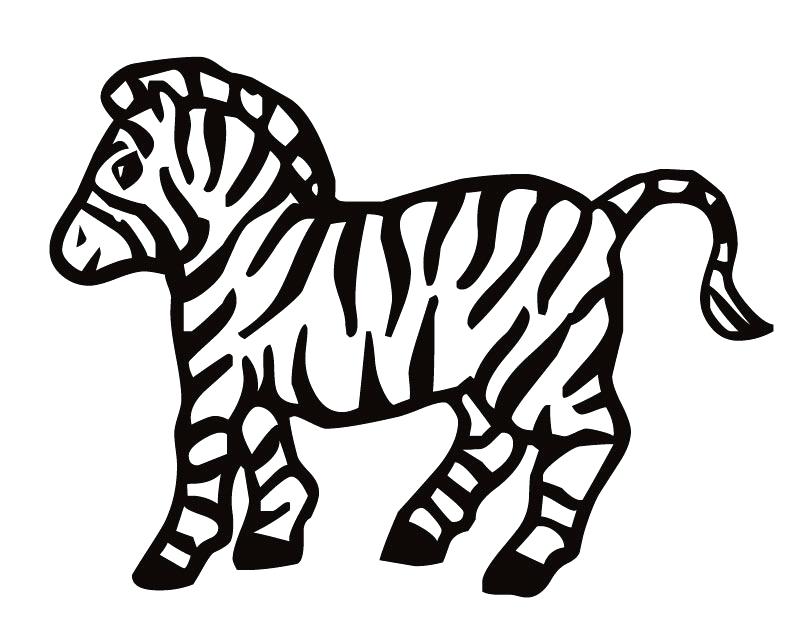 810x630 Zebra Coloring Pages Free Printable Mesmerizing On Print