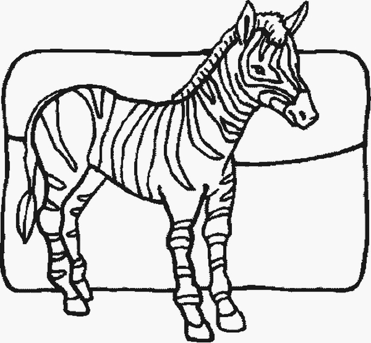 750x693 Zebra Coloring Pages Fresh Free Printable Zebra Coloring Pages