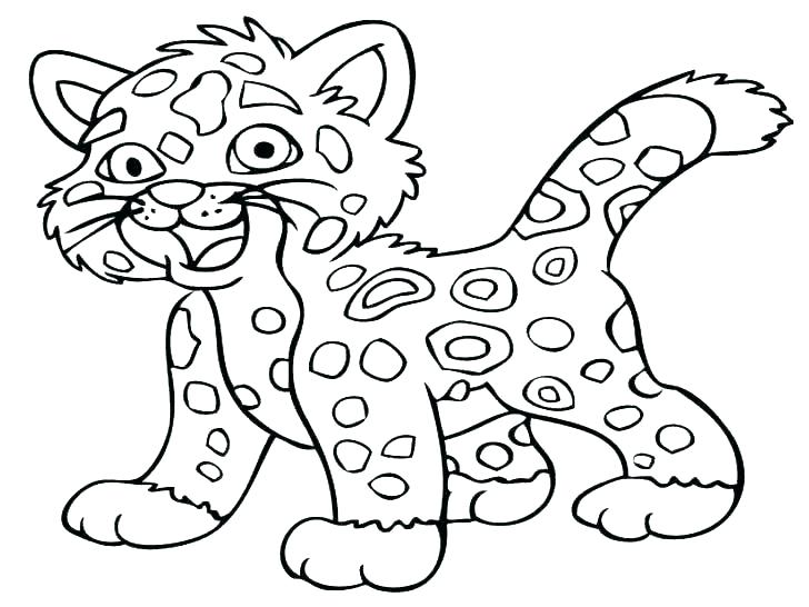 728x546 Baby Zebra Coloring Pages