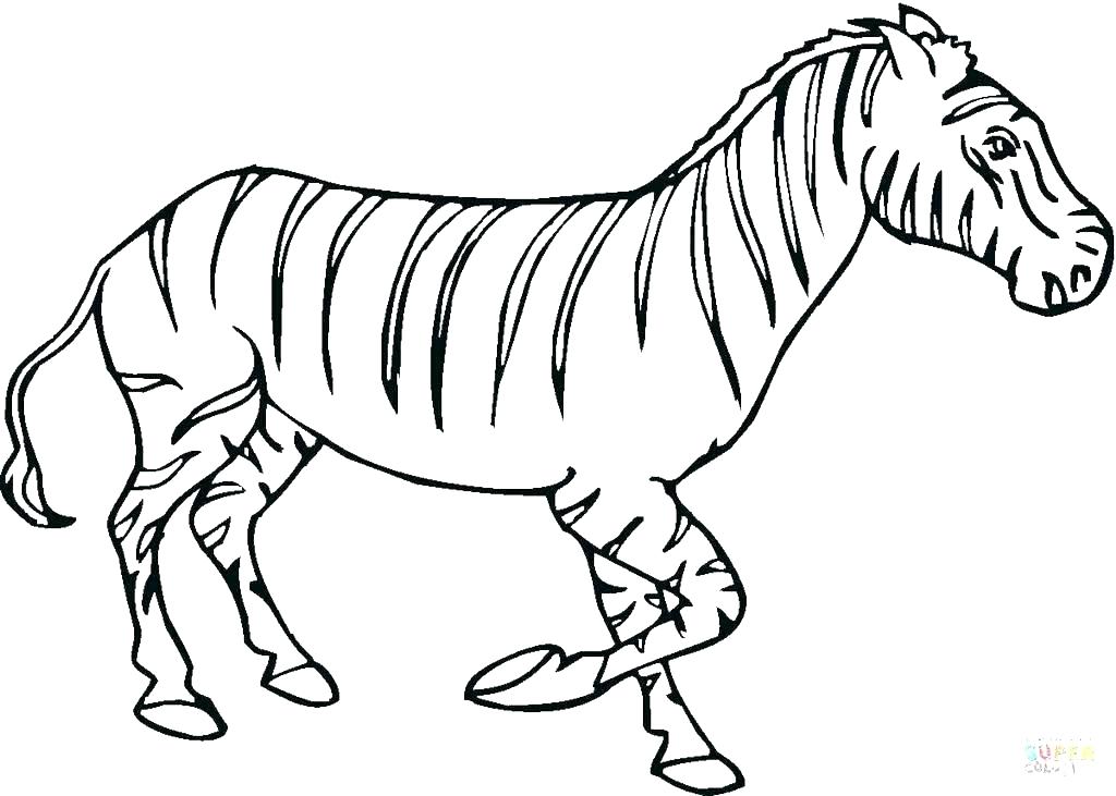 1024x731 Coloring Zebra Coloring Page Zebra Coloring Pages Zebra Zebra Free