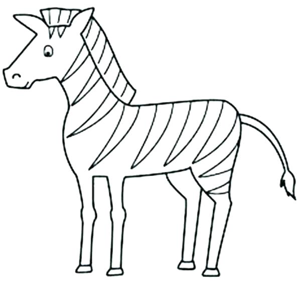 600x564 Zebra Coloring Pages Printable Printable Pictures Of Zebras