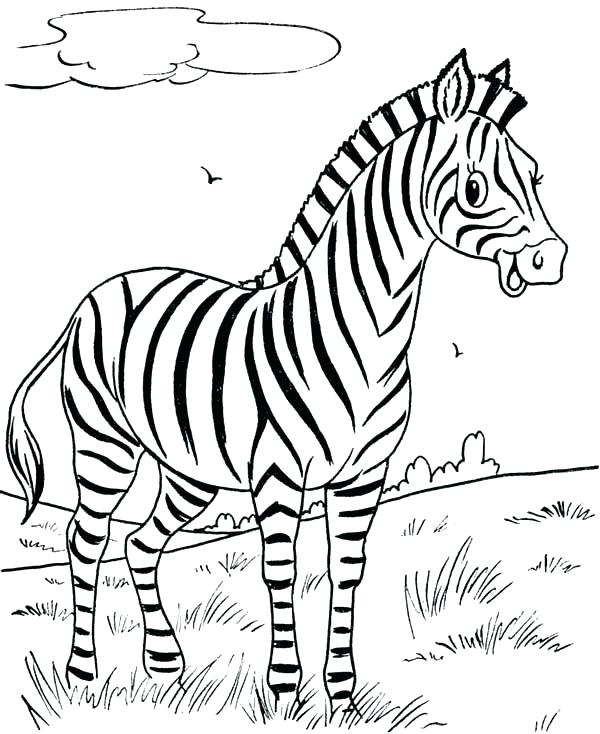 600x734 Zebra Coloring Sheet Baby Zebra Coloring Pages Zebra Coloring