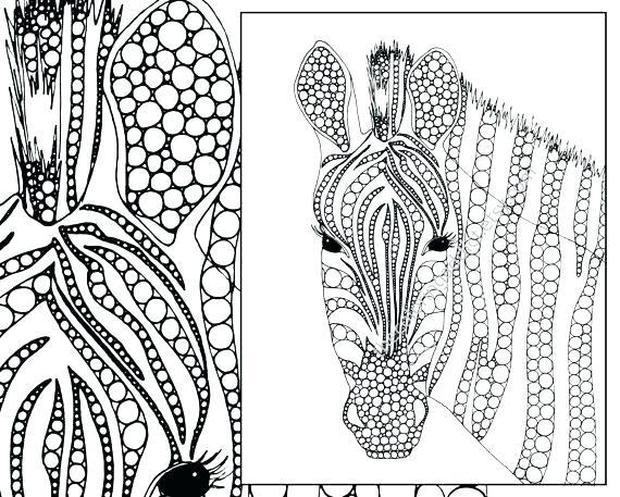 570x457 Zebra Without Stripes Coloring Pages Free Zebra Color Sheet