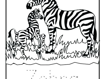 440x330 Coloring Pages Of Zebras