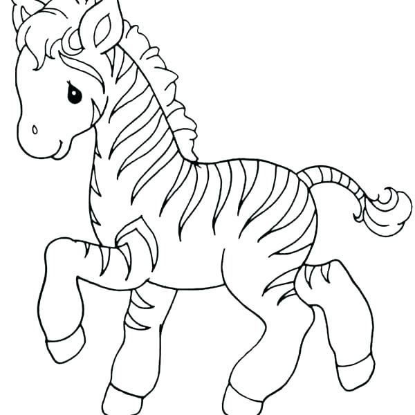 600x600 Coloring Pages Zebra Zebra Coloring Pages Baby Zebra Coloring