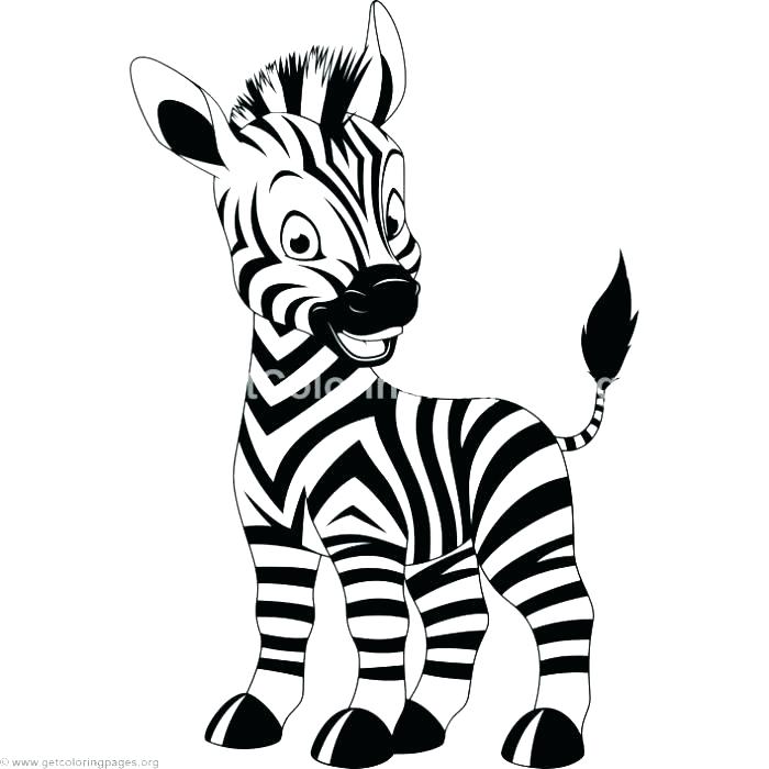 700x700 Surprising Zebra Face Coloring Page Preschool In Sweet Zebra Free