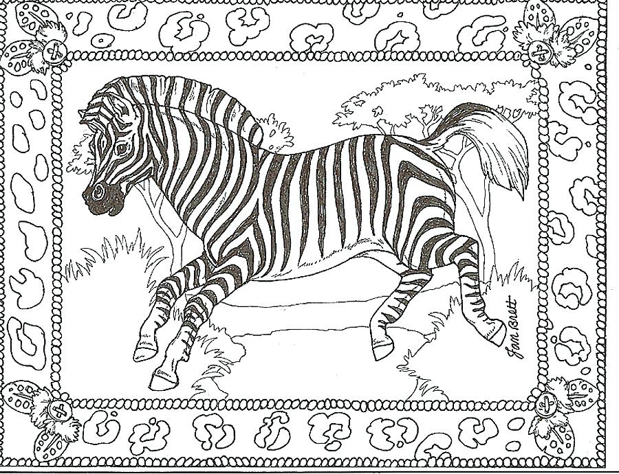 900x690 Zebra Coloring Pages Free Printable Adult Zebra Coloring Pages