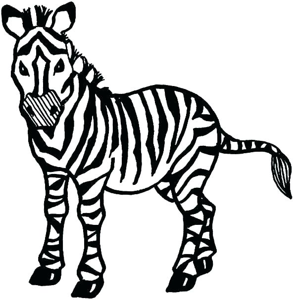 600x607 Zebra Coloring Pages Zebras Coloring Pages Zebra Printable