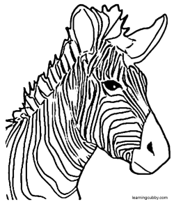 250x293 Best Photos Of Zebra Head Template