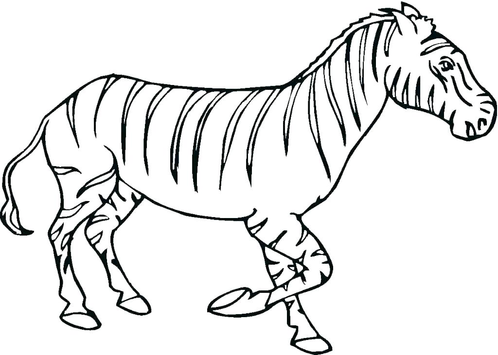 1024x731 Coloring Page Of A Zebra Cute Zebra Coloring Pages Baby Zebra