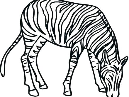 440x330 Coloring Page Of A Zebra Zebra Coloring Pages Without Stripes Kids