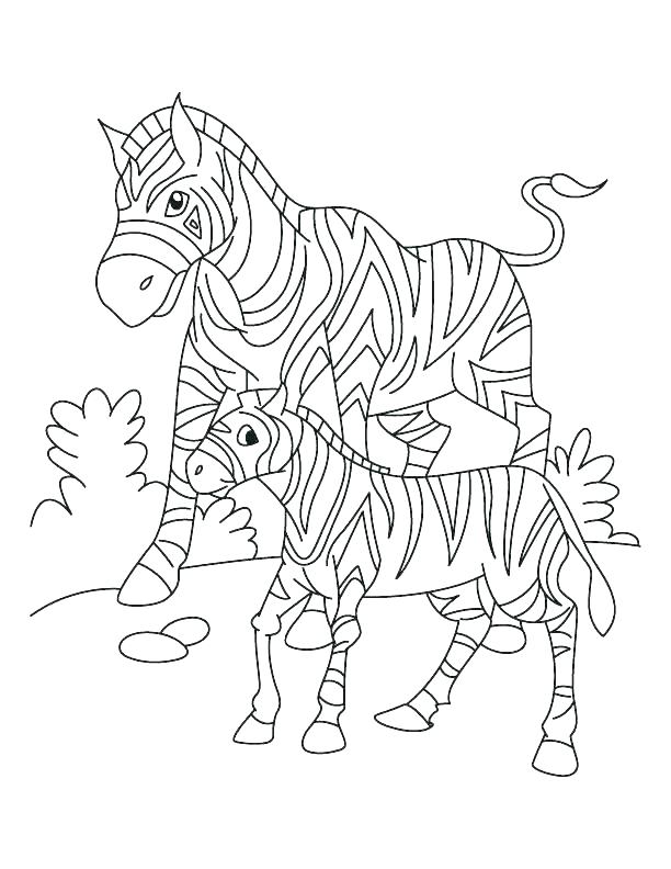 612x792 Zebra Print Coloring Pages Coloring Pages Of Zebras Coloring Pages