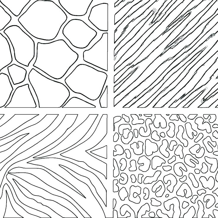 736x737 Zebra Print Coloring Pages Interesting Zebra Print Coloring Pages