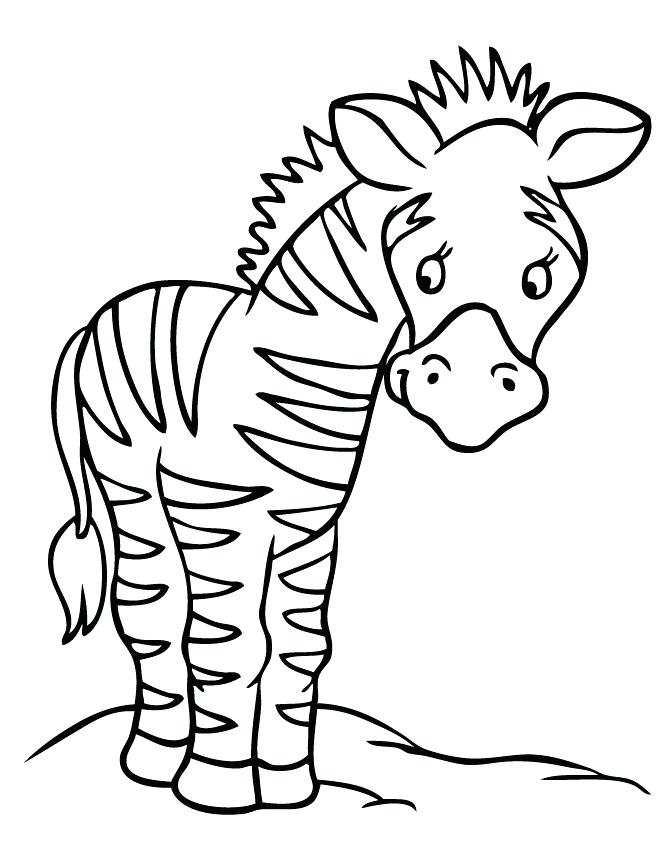 670x867 Zebra Print Coloring Pages Zebra Coloring Pictures To Print Free
