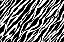 210x140 Zebra Print Coloring Pages Zebra Print Coloring Pages Coloring