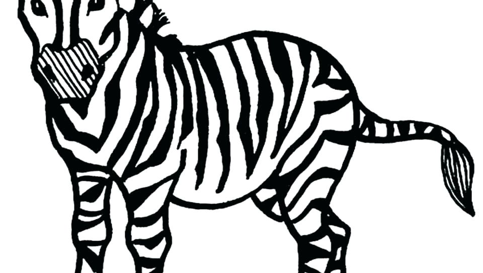 960x544 Zebra Coloring Pages