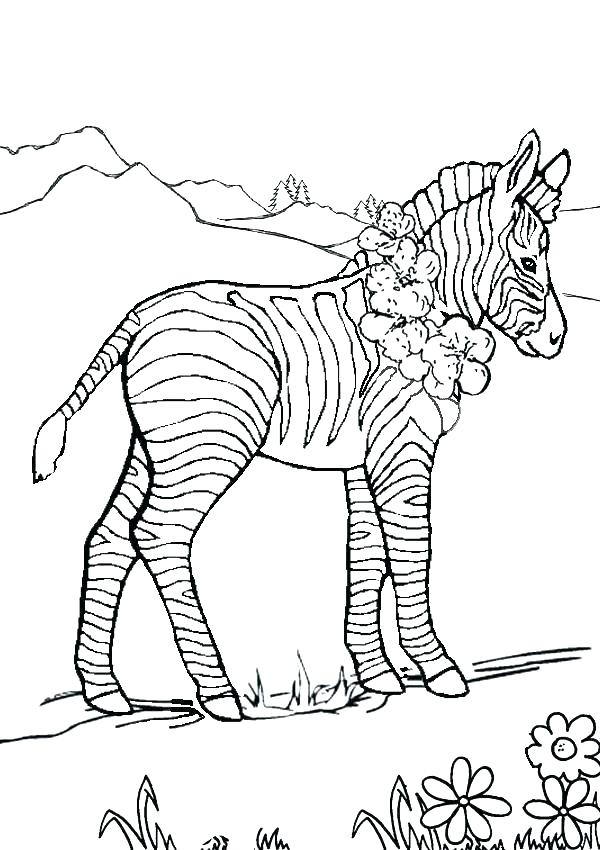600x850 Zebra Print Coloring Pages