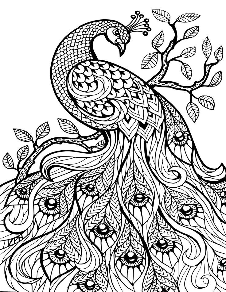 736x952 Best Coloring Books Images On Coloring Pages