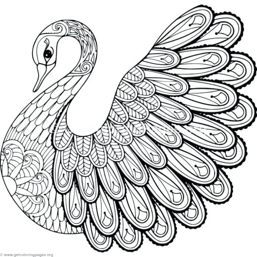 520x520 Zen Coloring Pages Free Printable Swan Coloring Pages Coloring