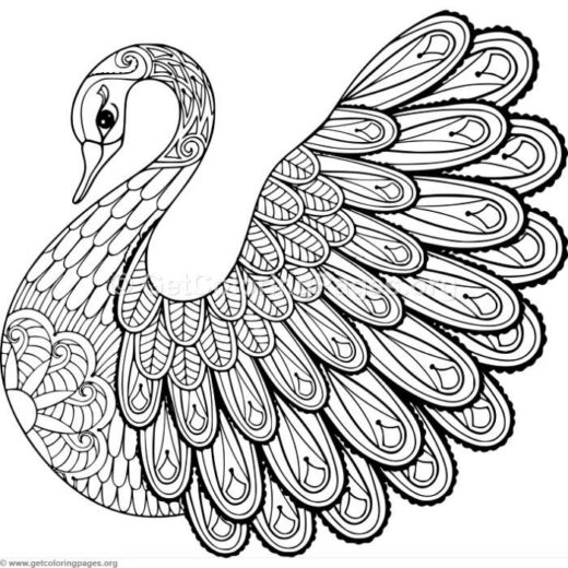 520x520 Zentangle Animal Coloring Pages Kids