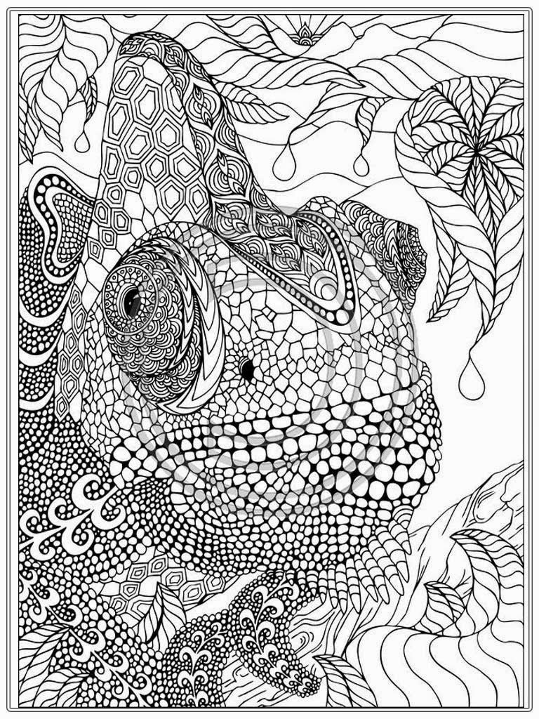 768x1024 Zentangle Coloring Pages For Adults