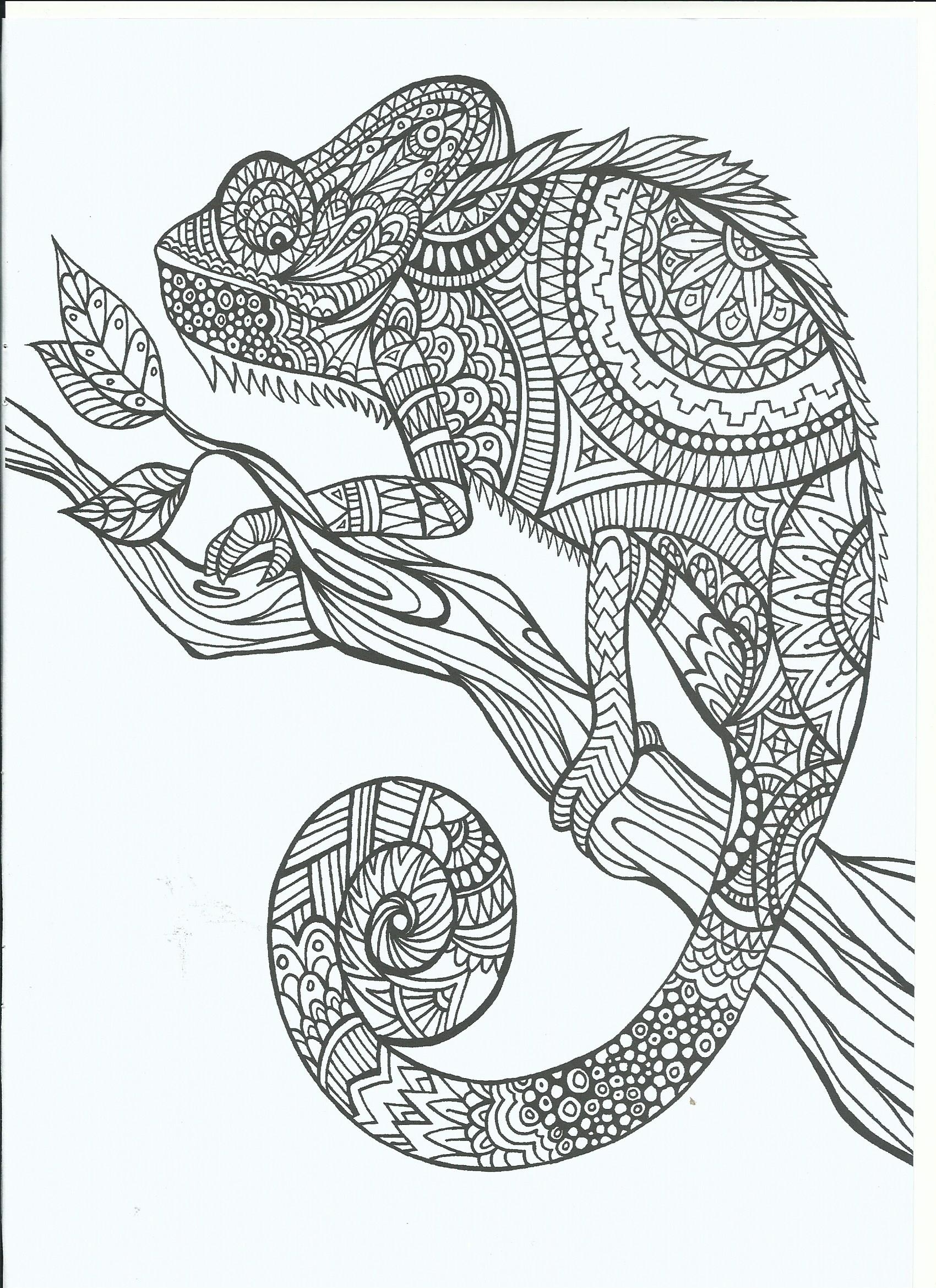 1700x2338 Abstract Doodle Zentangle Coloring Pages Colouring Adult Detailed