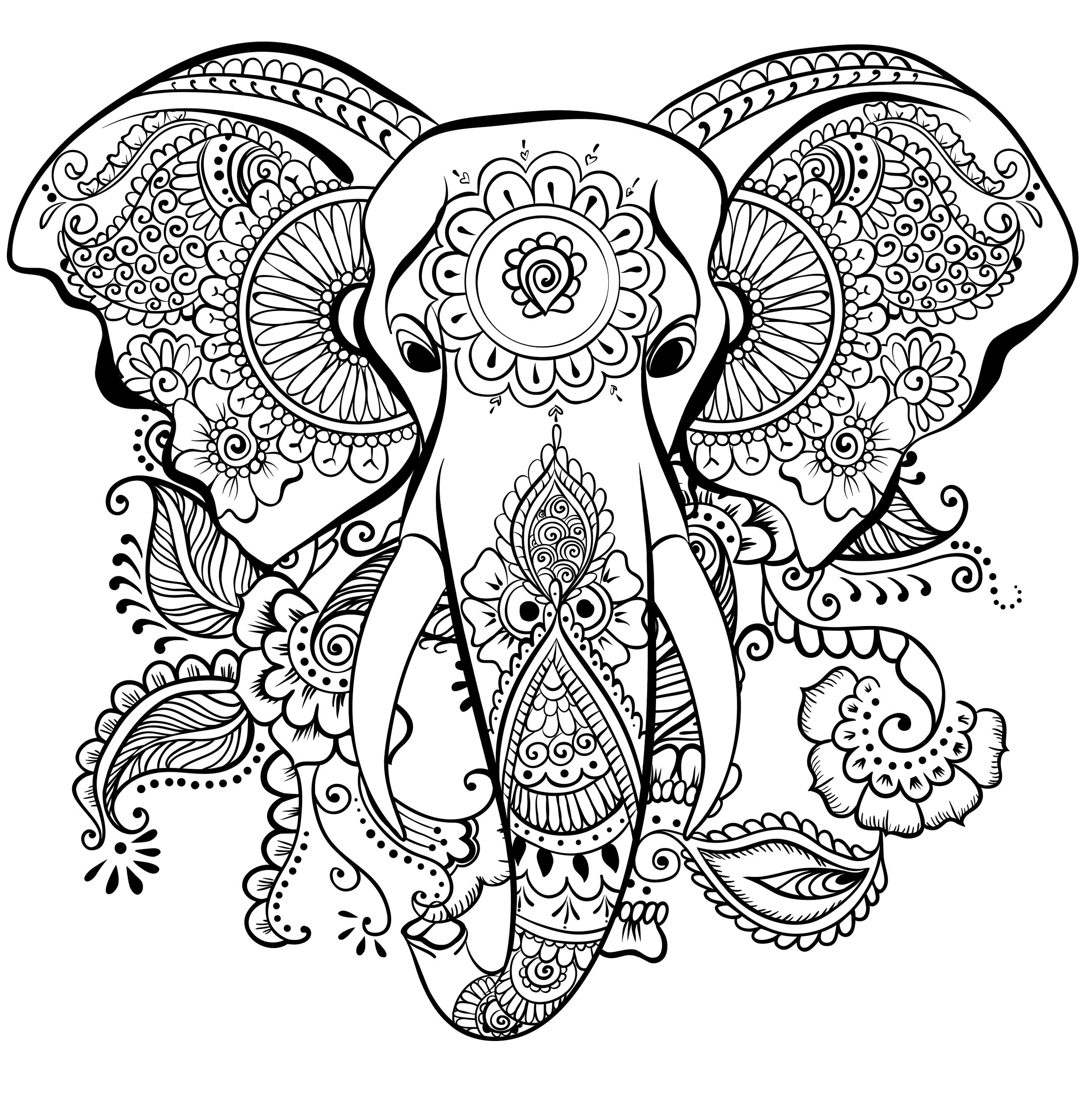 2555x2560 Elephant Zentangle Coloring Pages Free