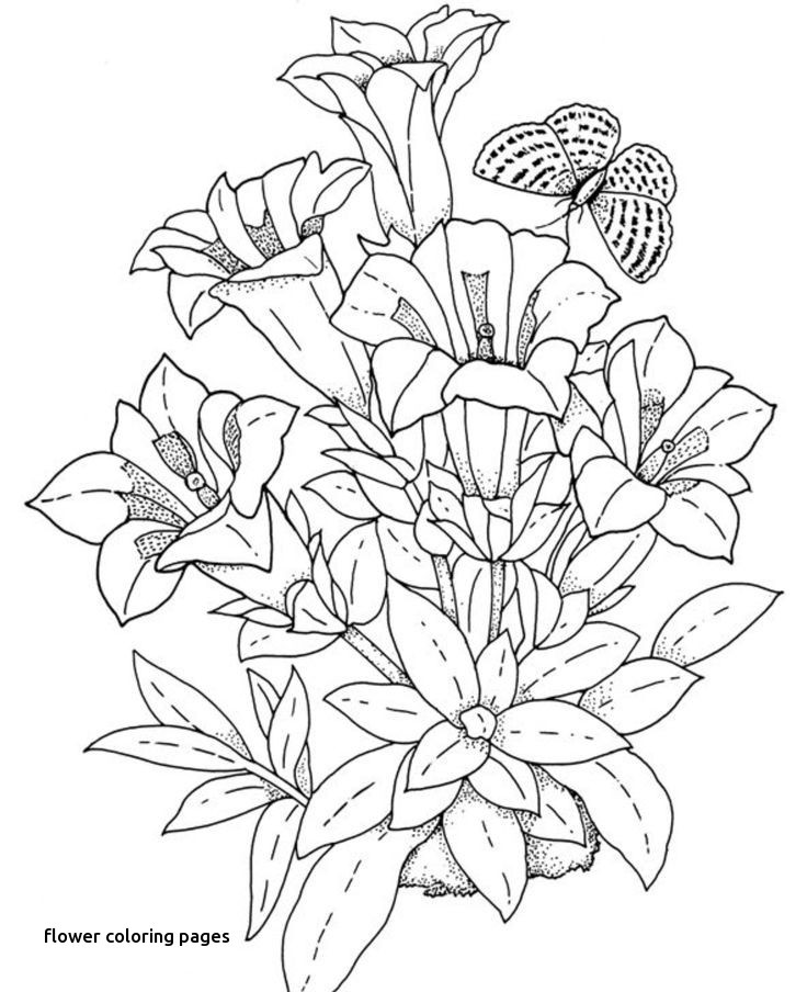 736x904 Coloring Pages Of Flowers Luxury Adult Coloring Page Doodle