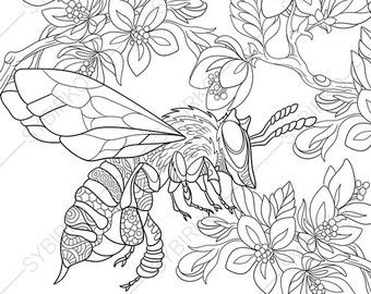 340x270 Coloring Pages Of Asian Pagoda Zentangle Doodle Coloring Book