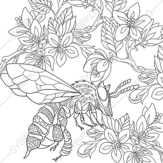 570x570 Coloring Pages Bee Zentangle Doodle Coloring Book Pages