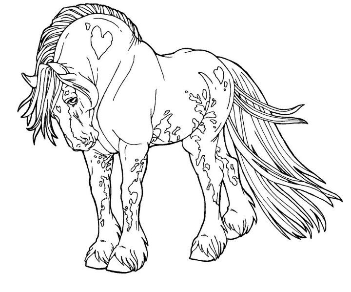 720x598 Horse Coloring Pages For Adults