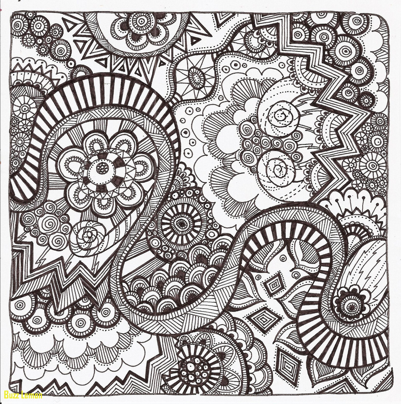 1588x1600 Luxury Coloring Page Zentangle Buzz Coloring