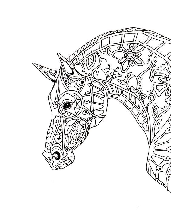 564x729 Coloring Pages Horse Adult Coloring