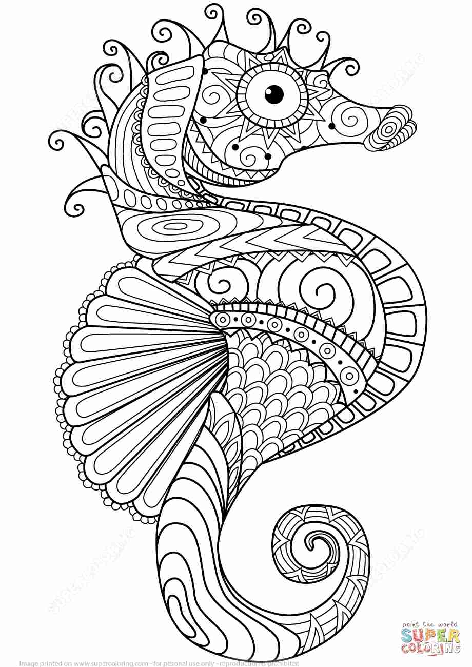 920x1300 Sea Horse Coloring Page Olegratiy