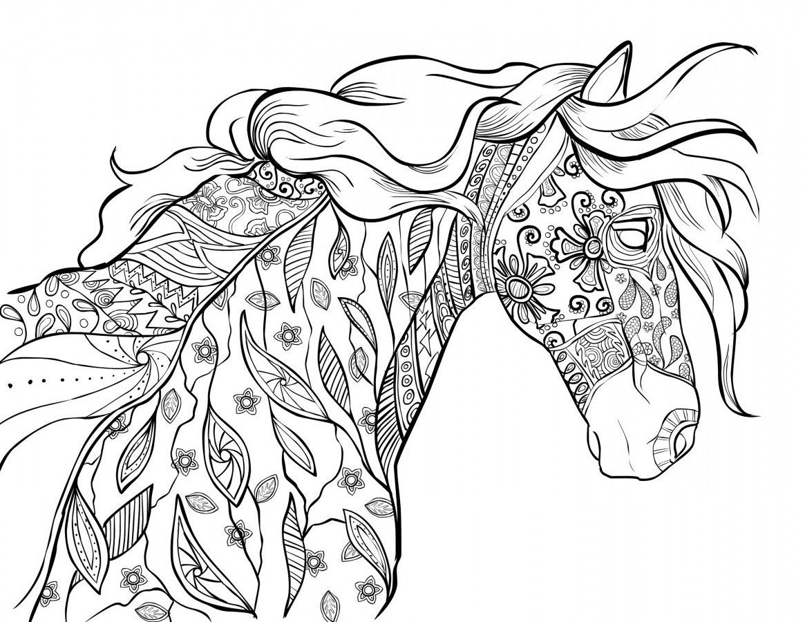 1165x900 The Amazing World Of Horses Adult Coloring Book I Cindy Elsharouni