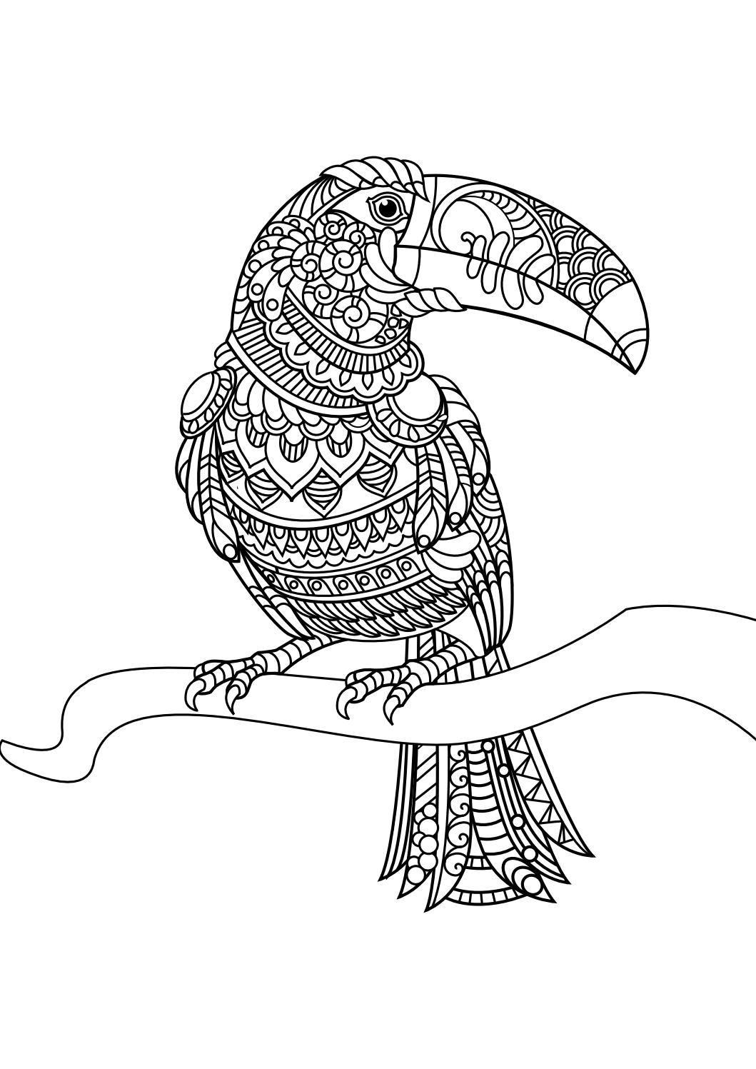 1059x1497 Animal Coloring Pages Pdf Adult Coloring, Dog Cat And Coloring Books