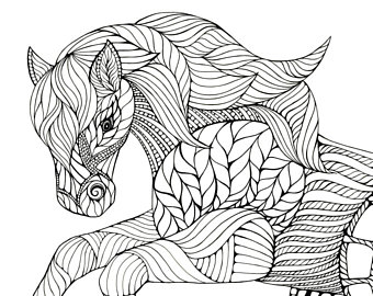 340x270 Bison Buffalo Animal Artwork Coloring Nursery Design Children