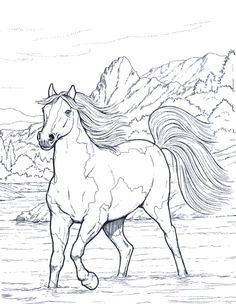 236x304 Coloring Book Horse Clip Art Hand Drawn Original Zentangle