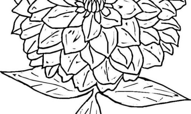 627x376 Coloring Pages Flowers, Printable For Kids Adults, Free To Download