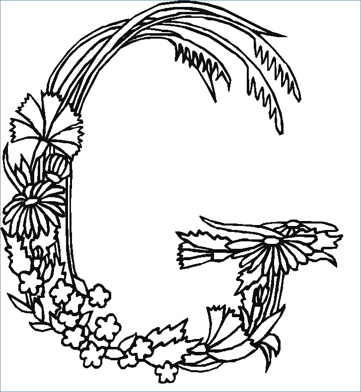 727x791 Letter Z For Zinnia Flower Fairy Coloring Page